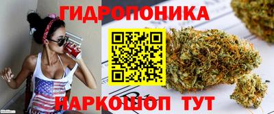 первитин Заводоуковск